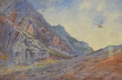 Lot 1183 - Archibald Thorburn (1860-1935) Golden eagle in flight near crags Initialled AT, inscribed in pencil