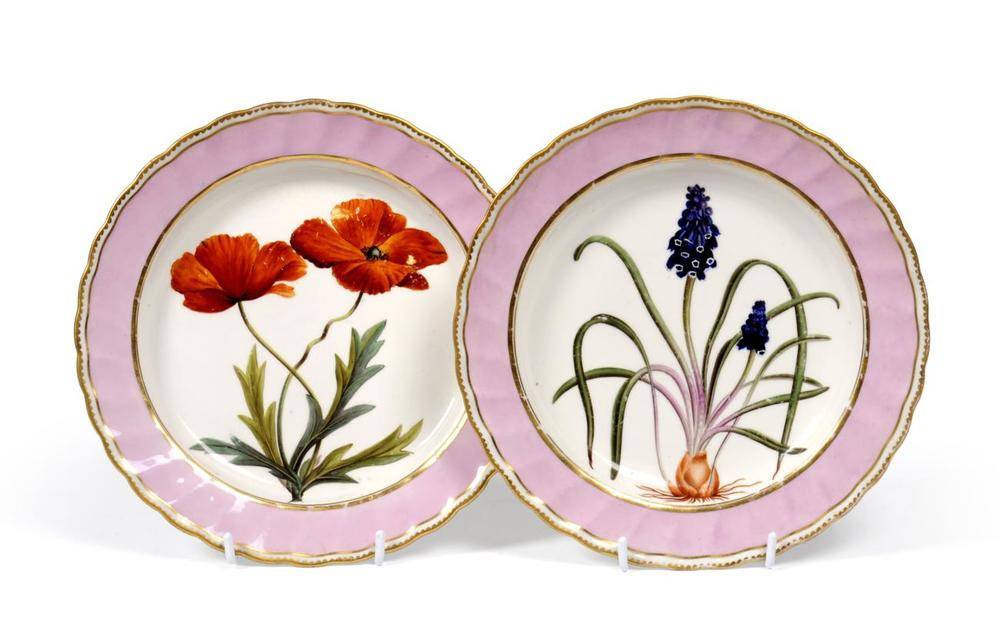 Lot 38 - A Pair of Derby Porcelain Botanical Plates, circa 1790, painted with ";Hyacinthus Racemesus, Starch