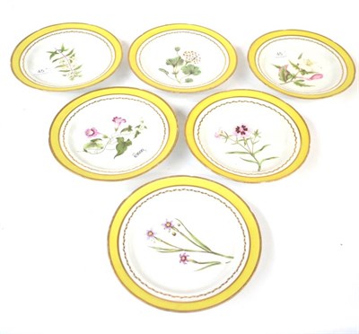 Lot 45 - A Set of Six English Porcelain Botanical Plates, circa 1800, painted with named specimens...