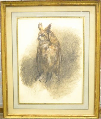 Lot 402 - St. Julian Fishburne (20th century) American ";Owl"; Signed and dated (19)61, pastel and chalk...