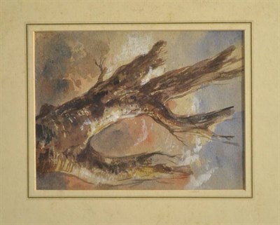 Lot 410 - The 6th Earl of Essex (1803-1892) Study of branches Watercolour heightened with white, 21cm by 16cm