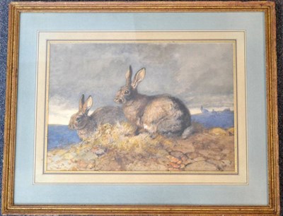 Lot 440 - Harrison William Weir RI (1824-1906) Study of rabbits in a landscape Signed and dated 1867,...