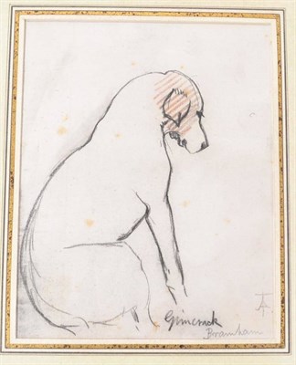 Lot 489 - British School (19th/20th century) ";Gimcrack"; - study of a foxhound at rest Monogrammed and...