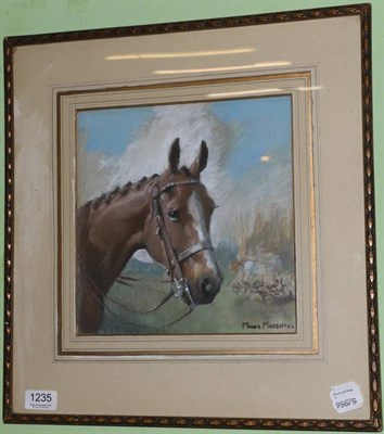 Lot 1235 - Maude Marshall (1877-1967) Portrait of a horse, signed, pastel, 25cm by 25cm