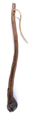 Lot 167 - A 19th Century Irish Shillelagh, of dense hard wood with knurled head, the pommel pierced for a gut