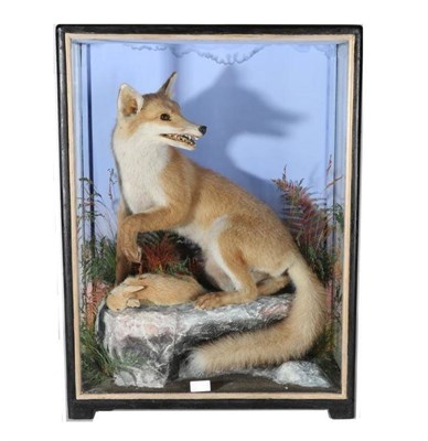 Lot 2025 - Taxidermy: A Victorian Cased Red Fox (Vulpes vulpes), by James Hutchings of Aberystwith, 1860-1942