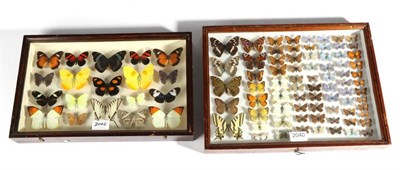 Lot 2040 - Entomology: A Collection of Various Butterflies Native to Russia, circa late 20th century, 74...