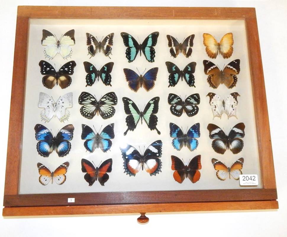 Lot 2042 - Entomology: A Collection of African Butterflies, circa late 20th century, to include sixteen...