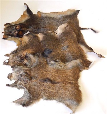 Lot 2089 - Hides/Skins: A Collection of European Animal Hides, to include - three Fox pelts, one grey pelt...