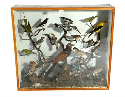 Lot 2090 - Taxidermy: A Cased Collection of Southeast Asian Birds, circa early 20th century, an...