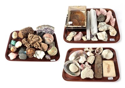 Lot 2125 - Minerals/Fossils: A Collection of Various Minerals & Fossils, including - a Large Desert Rose...