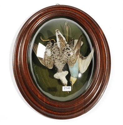 Lot 2146 - Taxidermy: A Late 19th Century Oval Display of Birds,  entitled ''The fighting Knight and the...