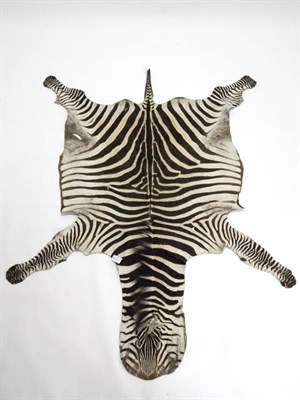 Lot 2152 - Taxidermy: Burchell's Zebra Skin (Equus quagga), circa 20th century, Kenya, a Burchell's/Plains...