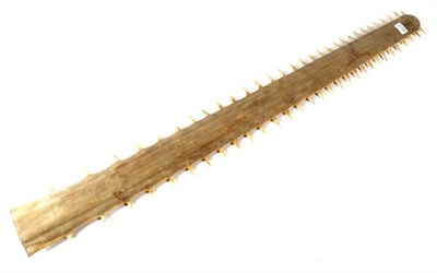 Lot 2189 - Taxidermy: A Large Sawfish Rostrum (Pristidae spp), circa early 20th century, 60 teeth, 123cm long