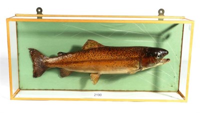 Lot 2190 - Taxidermy: An Early 20th Century Cased Brown Trout (Salmo trutta), circa 1907-1914, by Rowland...