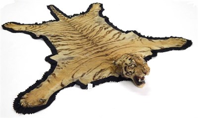 Lot 2202 - Taxidermy: Bengal Tiger (Panthera tigris tigris), by Van Ingen & Van Ingen, Mysore, India, No...