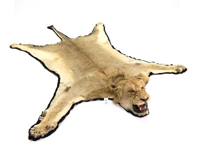 Lot 2203 - Taxidermy: African Male Lion (Panthera leo), circa 1960-1970, skin rug with head mount, mouth...