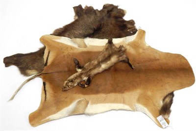 Lot 2238 - Hides/Skins: A Collection of Various Game Hides, to include a Wild Boar (Sus scrofa) modern,...