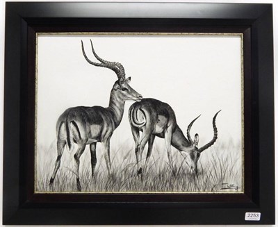 Lot 2253 - Hunting Art: A Framed Picture of Impala, ''Impressive Impala'', by ilse De Villiers, South...