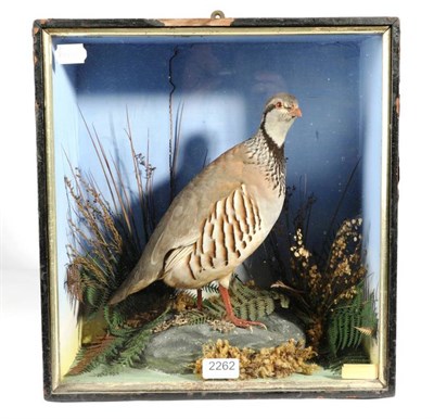 Lot 2262 - Taxidermy: Red-Legged Partridge (Alectoris rufa), circa 1870, in the manner of Henry Shaw, full...