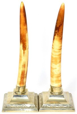Lot 45 - A pair of electroplate mounted Hippopotamus tusks, by Joseph Rodgers, Sheffield, circa 1900