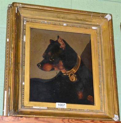 Lot 1007 - English School (19th century), Naive portrait of a dog, oil on board