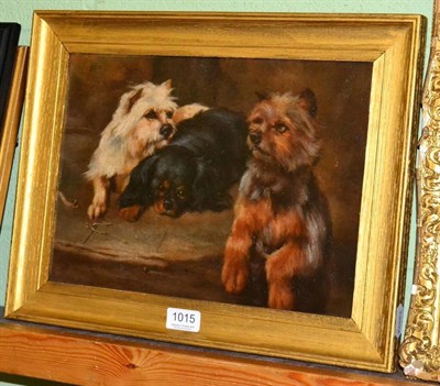 Lot 1015 - Follower of Armfield, Terriers and a King Charles Spaniel resting, oil on board, 25cm by 34cm