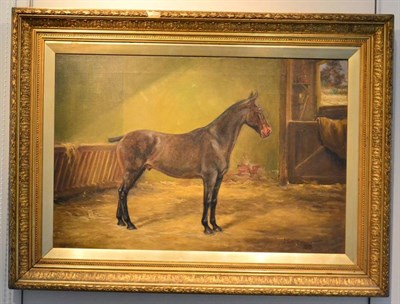 Lot 1038 - J. Valentine, Study of a dark bay hunter in a loose box, oil on canvas, signed and dated 1913 lower
