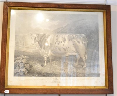 Lot 1040 - John Whessel after Fryer, ''The Craven Heifer'', engraving