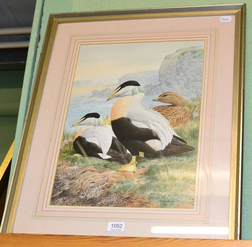 Lot 1052 - Cyril David Johnston (b. 1946) Ducks, signed and dated 1975, watercolour, 46cm by 33cm