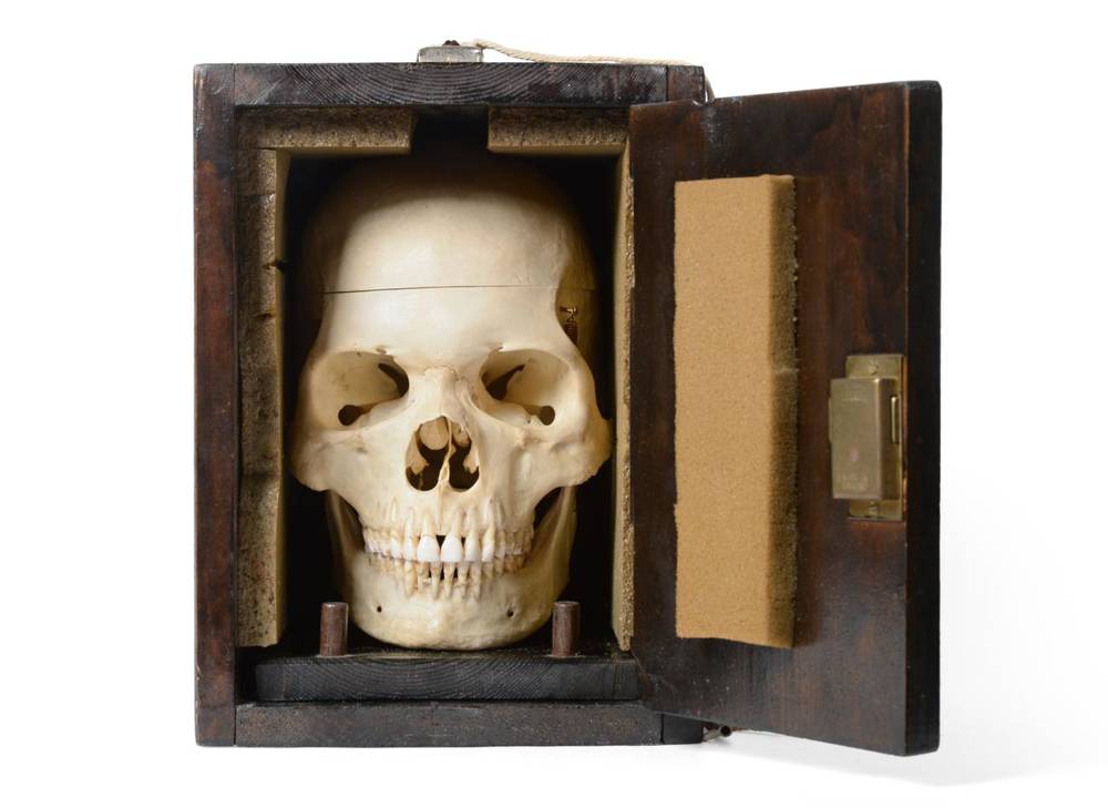 Lot 1134 - Human Skull mounted on stand in wooden case, with sprung jaw and removable top