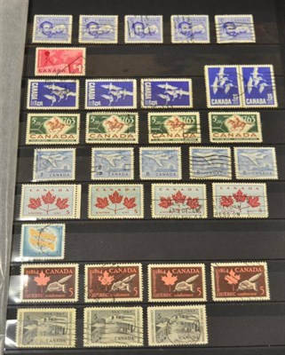 Lot 19 - Large Box of Commonwealth in 8 Volumes. Includes Commonwealth A - Z in 2 large stockbooks, Canada 