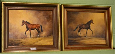 Lot 1041 - Kathleen Nelson (modern) a pair of oils on board of horses ''Bragi'' and ''Fretta''