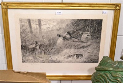 Lot 1064 - After Archibald Thorburn, Pheasants in a woodland, black and white print, signed in pencil to...