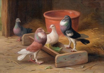 Lot 52 - Edgar Hunt (1876-1953)  Pigeons at a trough within a stable Signed, oil on canvas, 17cm by...