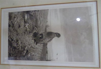 Lot 1074 - After Archibald Thorburn, six prints framed as two