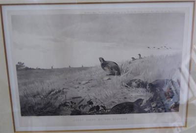 Lot 1074 - After Archibald Thorburn, six prints framed as two