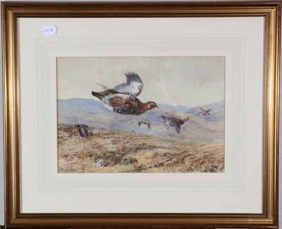 Lot 44 - William Woodhouse (1857-1939) Grouse Shooting  Signed, watercolour, 25cm by 37cm
