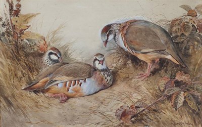 Lot 46 - William Woodhouse (1857-1939) A study of nesting French Partridges Signed, watercolour, 33.5cm...