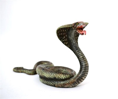 Lot 263 - After Franz Bergmann: A Cold Painted Bronze Figure of a Cobra, its hood raised, stamped B in...