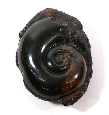 Lot 367 - A Carved Amber Boulder, the upper section carved as a helical shell, 12.5cm wide