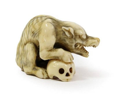 Lot 396 - A Japanese Ivory Okimono, Edo period, carved as a seated wolf with its forepaws on a human...