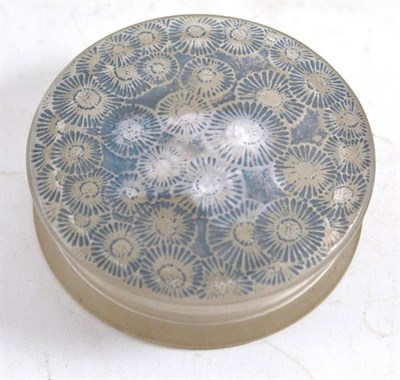 Lot 127 - A Rene Lalique 'Marguerites' round box with blue stained cover, moulded mark 'R LALIQUE' and etched