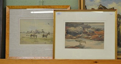 Lot 450 - Richard Barrett Talbot, Heron and Herring Gull, and Topi, watercolours (2)