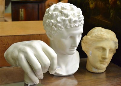 Lot 407 - Three cast busts