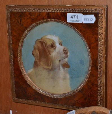 Lot 471 - 19th/20th century English School watercolour portrait of a dog contained in a burr walnut frame