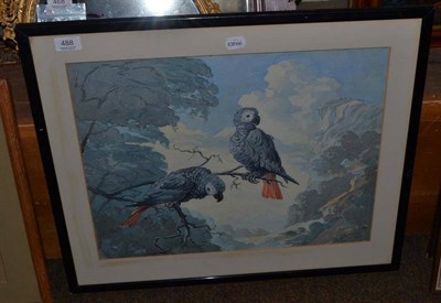 Lot 488 - Robert Curzon, watercolour drawing grey parakeets, signed and date 1957