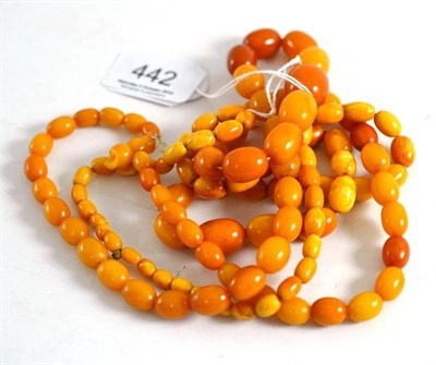 Lot 442 - Two amber necklaces