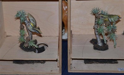 Lot 513 - Royal Worcester limited edition Goldcrest and Larch hen and cock, in original Asprey crates, number