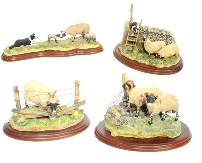 Lot 553 - Border Fine Arts 'Element of Surprise' (Collie and Sheep), model No. B0089; together with three...